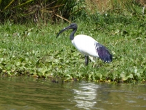 P1020734