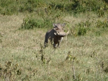 P1020899