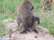 P1020960