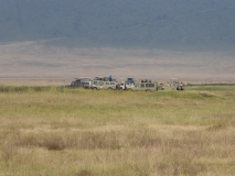 P1030541