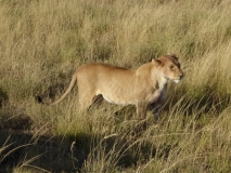 P1030485